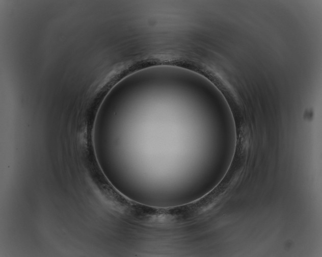 X0000091690212200708231447