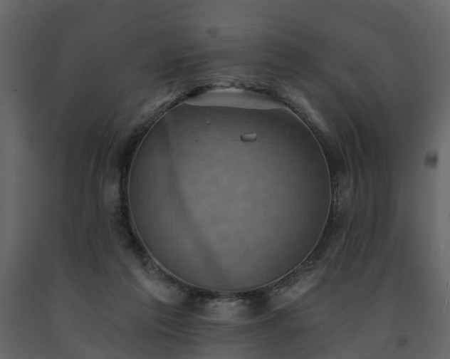 X0000091690213200708231447