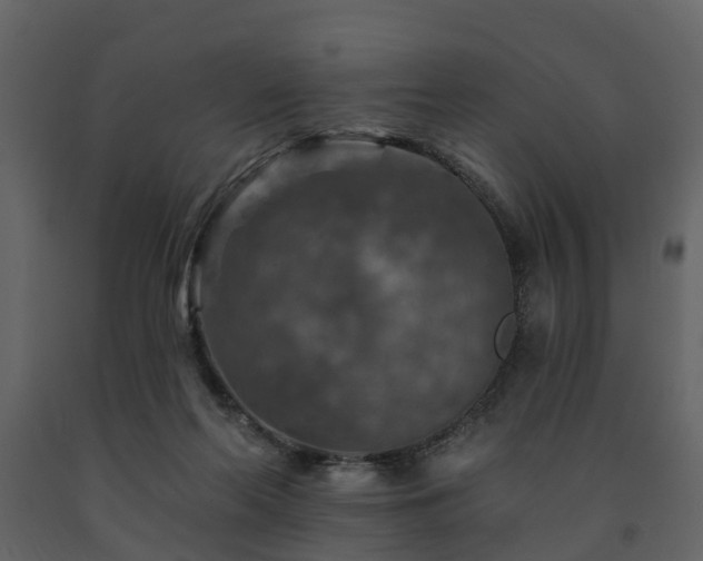 X0000091690214200708231447