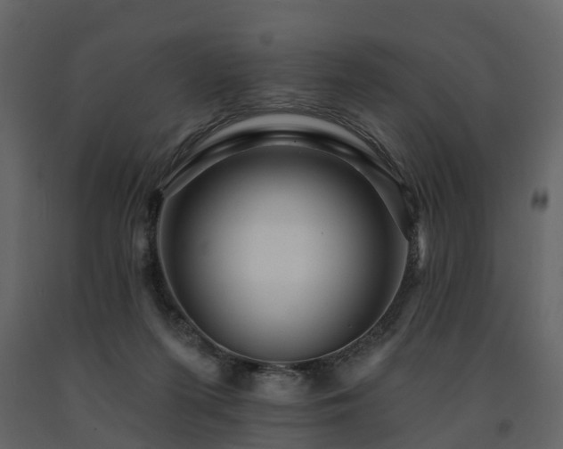 X0000091690215200708231447