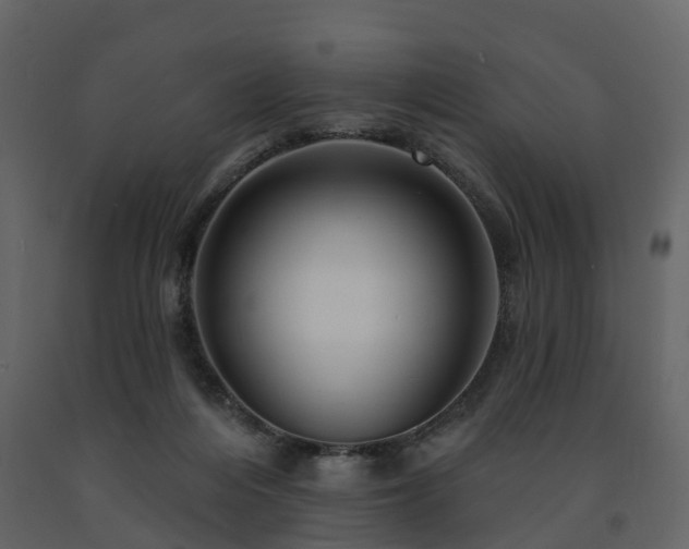 X0000091690216200708231447