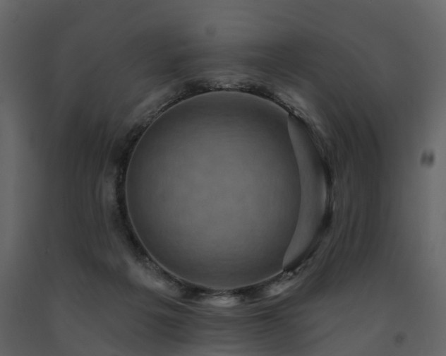 X0000091690217200708231447