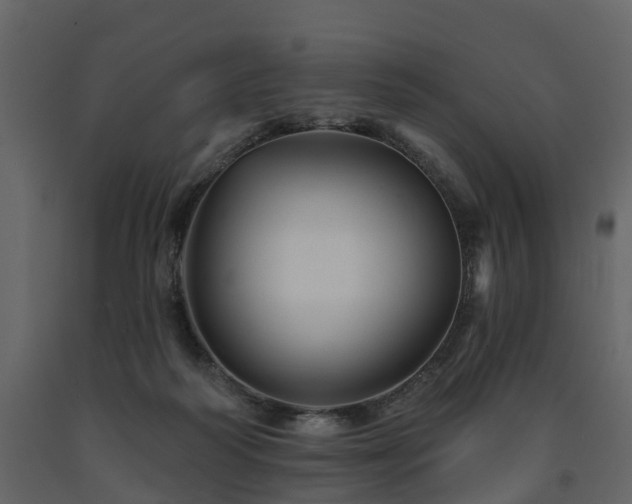 X0000091690218200708231447