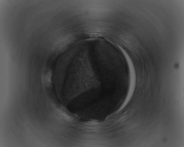 X0000091690219200708231447