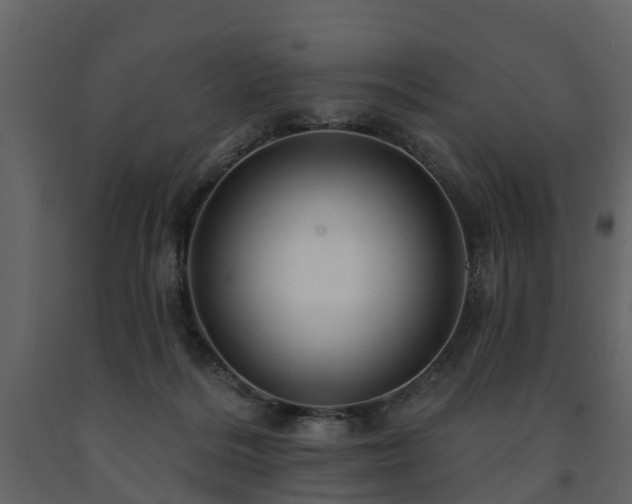 X0000091690220200708231447