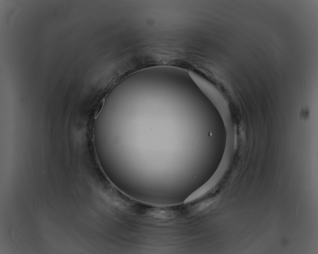 X0000091690221200708231447
