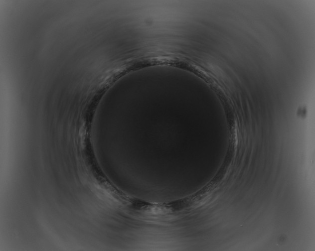 X0000091690223200708231447