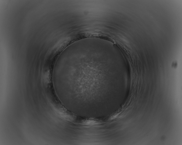 X0000091690224200708231447