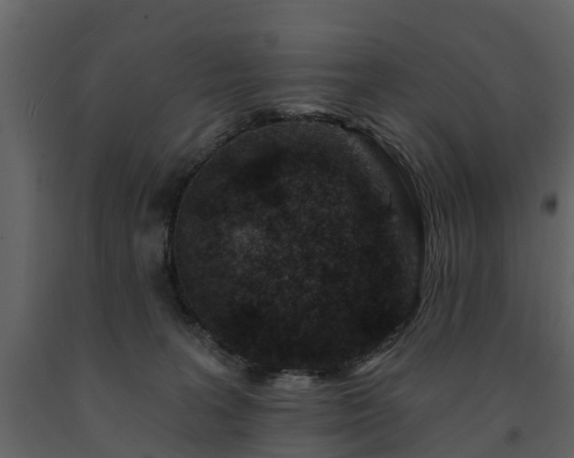 X0000091690227200708231447