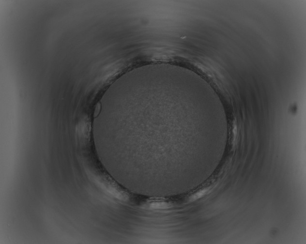 X0000091690228200708231447