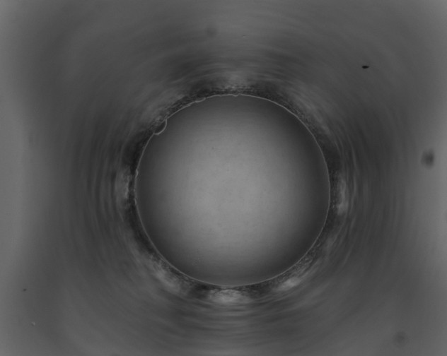 X0000091690230200708231447