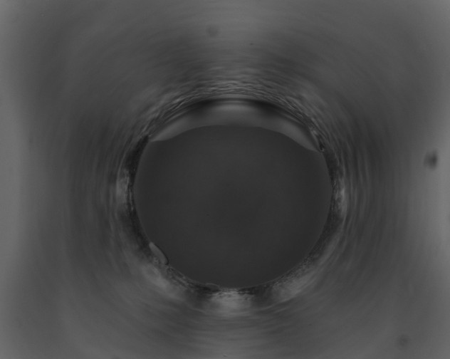 X0000091690231200708231447