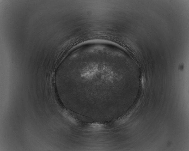 X0000091690233200708231447