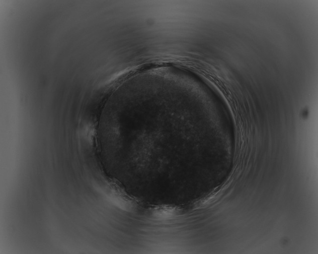 X0000091690235200708231447