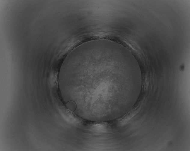 X0000091690236200708231447