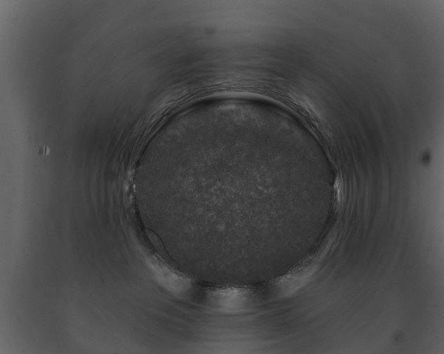X0000091690237200708231447
