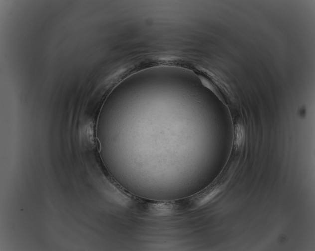 X0000091690238200708231447
