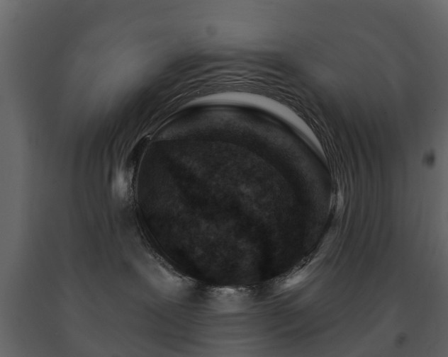 X0000091690239200708231447