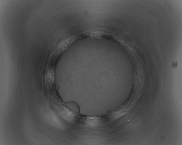 X0000091690240200708231447