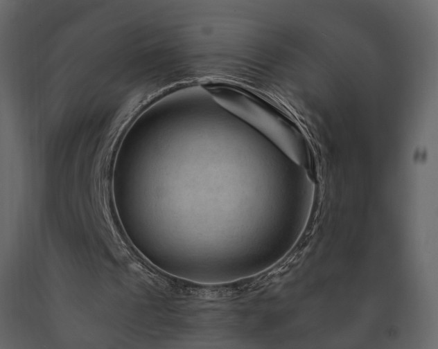 X0000091690241200708231446