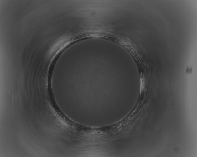 X0000091690243200708231446