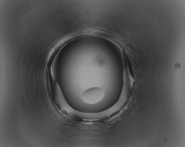 X0000091690244200708231446