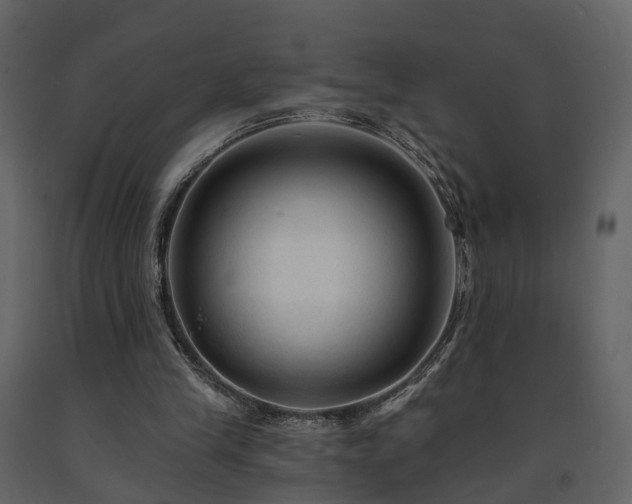 X0000091690245200708231446