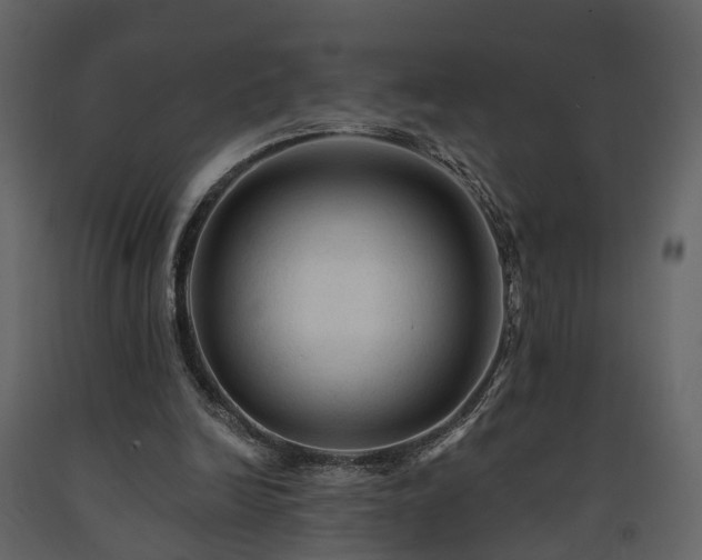X0000091690246200708231446