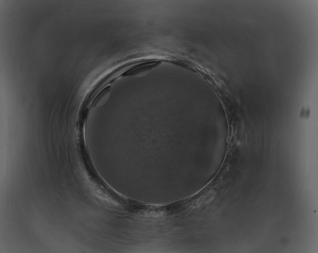 X0000091690247200708231446