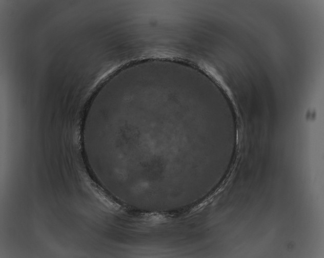 X0000091690249200708231446