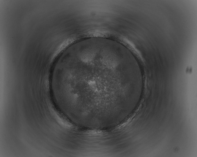 X0000091690250200708231446