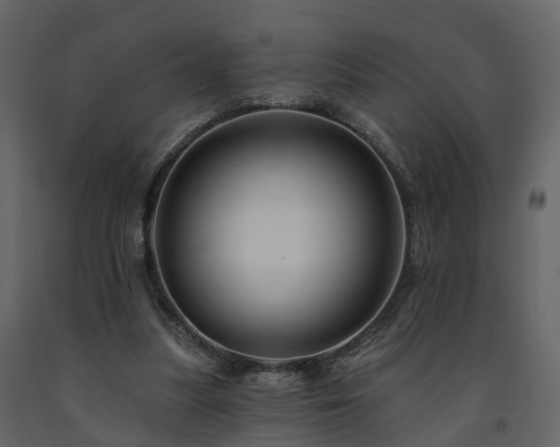 X0000091690251200708231446