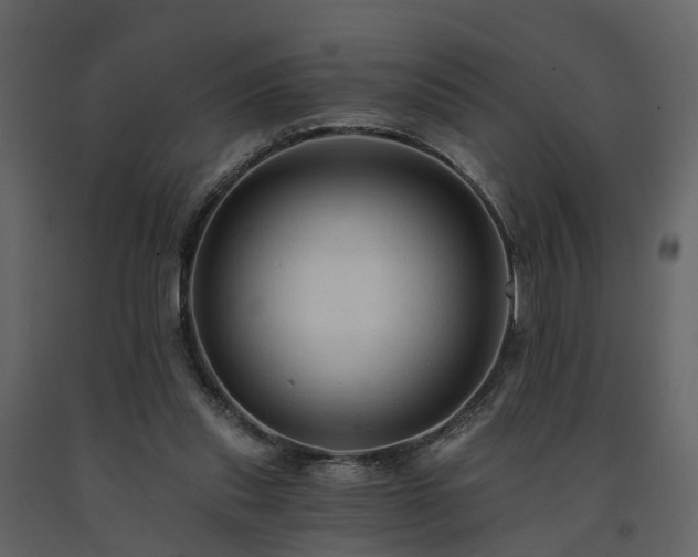 X0000091690253200708231446