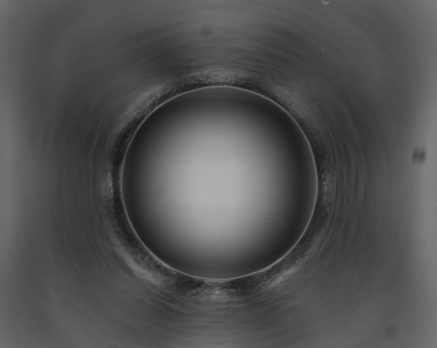 X0000091690254200708231446