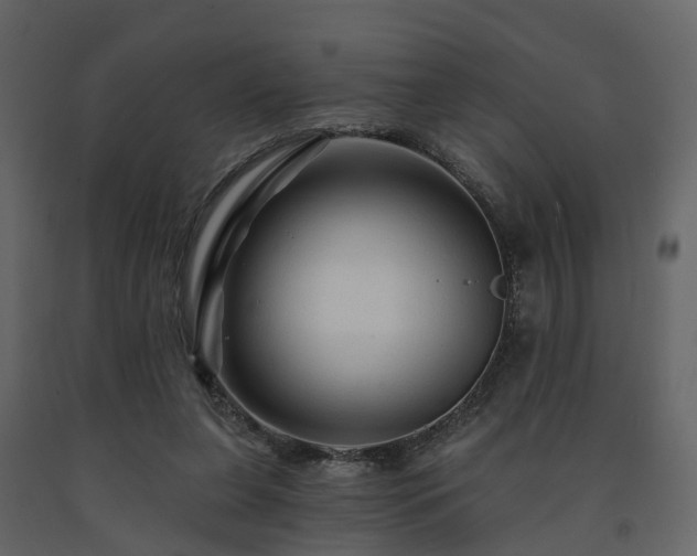 X0000091690255200708231446