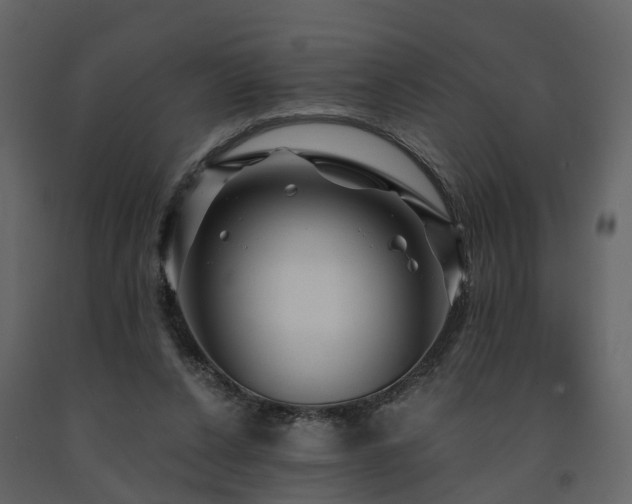 X0000091690256200708231446