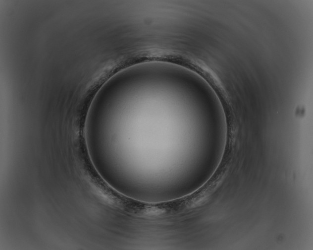 X0000091690257200708231446