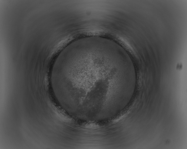 X0000091690258200708231446