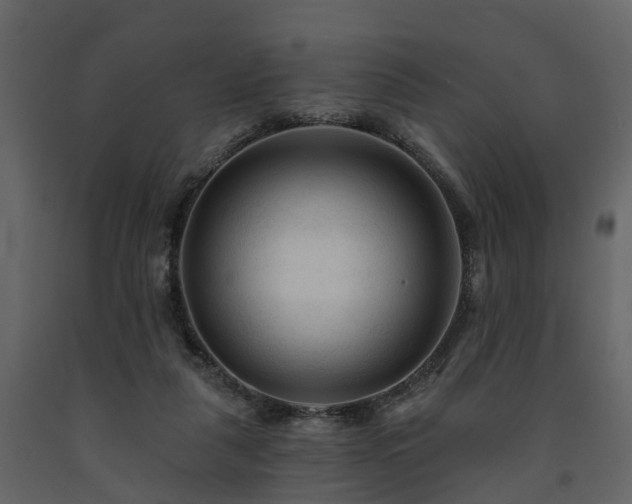 X0000091690259200708231446
