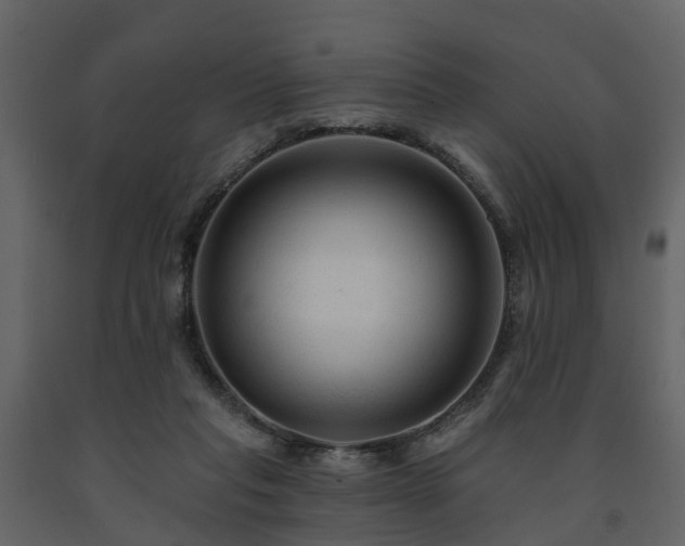 X0000091690261200708231446