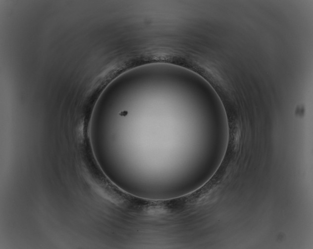 X0000091690262200708231446