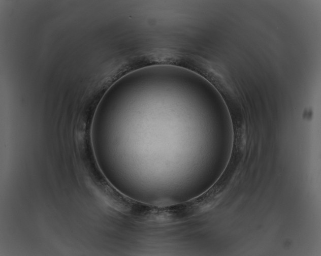 X0000091690263200708231447