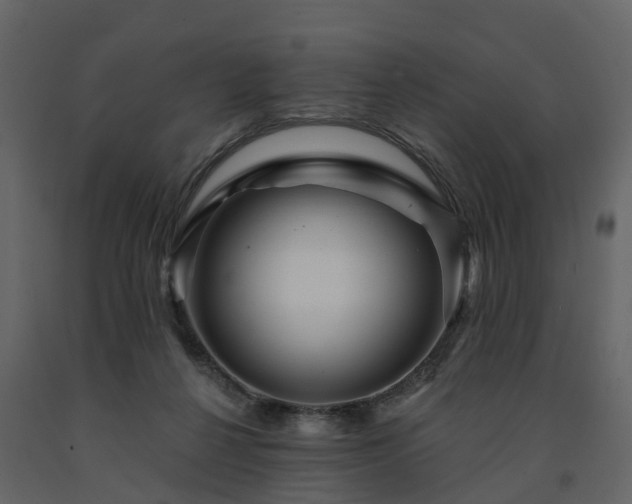 X0000091690264200708231447