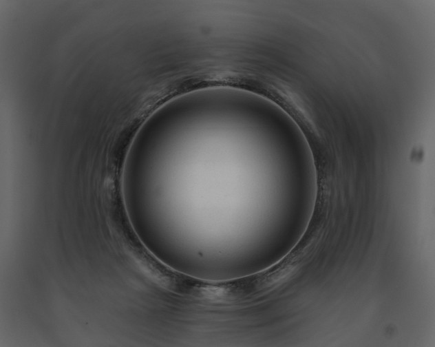 X0000091690265200708231447