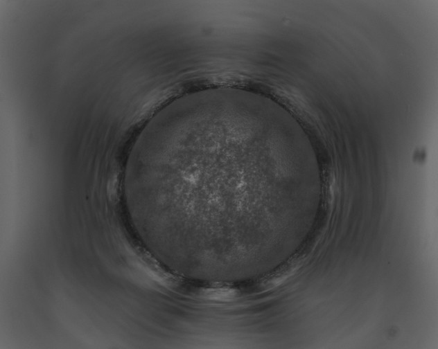 X0000091690266200708231447