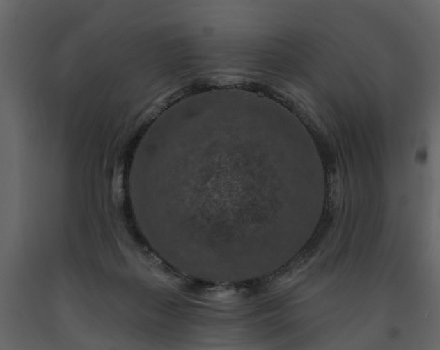 X0000091690267200708231447