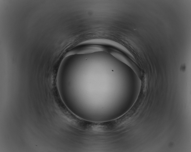 X0000091690268200708231447