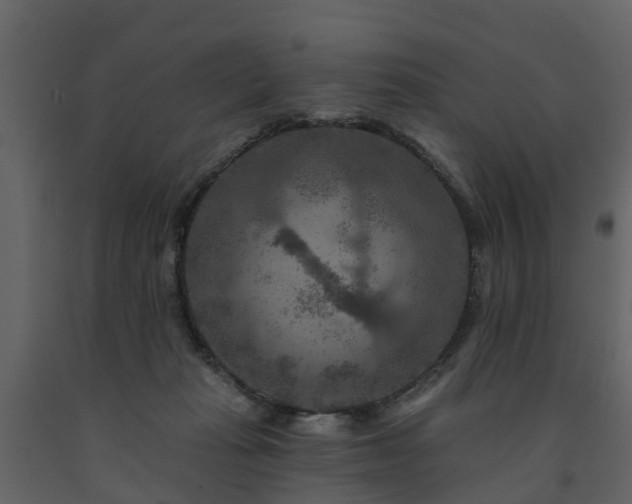 X0000091690269200708231447