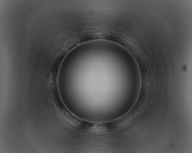 X0000091690270200708231447