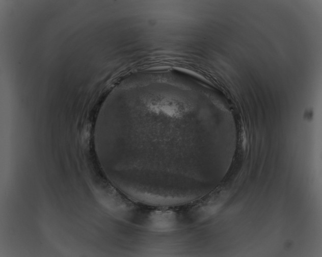 X0000091690271200708231447